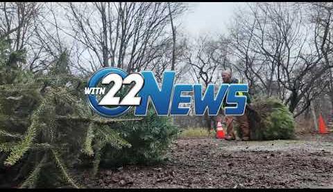 From Christmas Trees to Community Greenery: Wilmington’s TreeCycle Gives Holiday Trees New Life