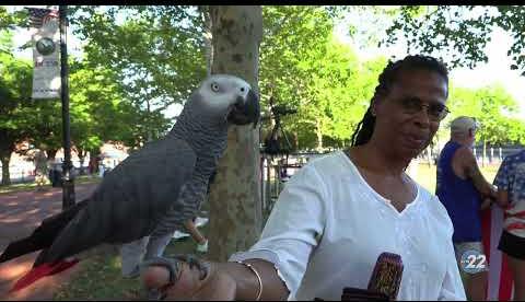 Sights & Sounds | City of Wilmington 4th Of July Celebration and Fireworks