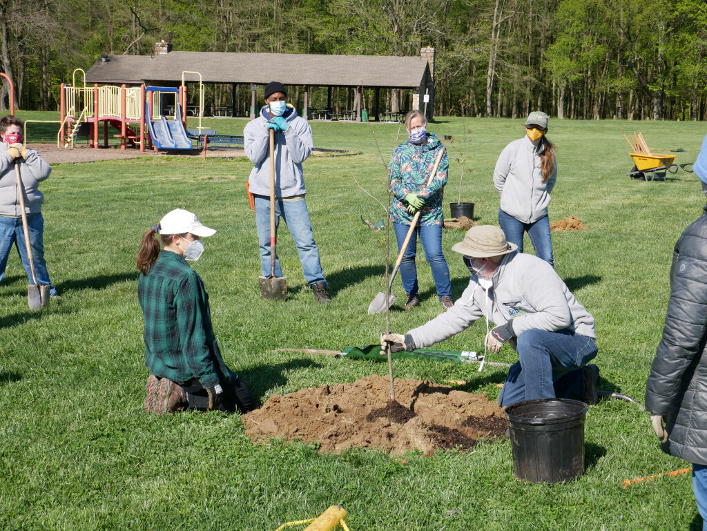 Delaware Center for Horticulture Selected to Partner with TD Tree Days