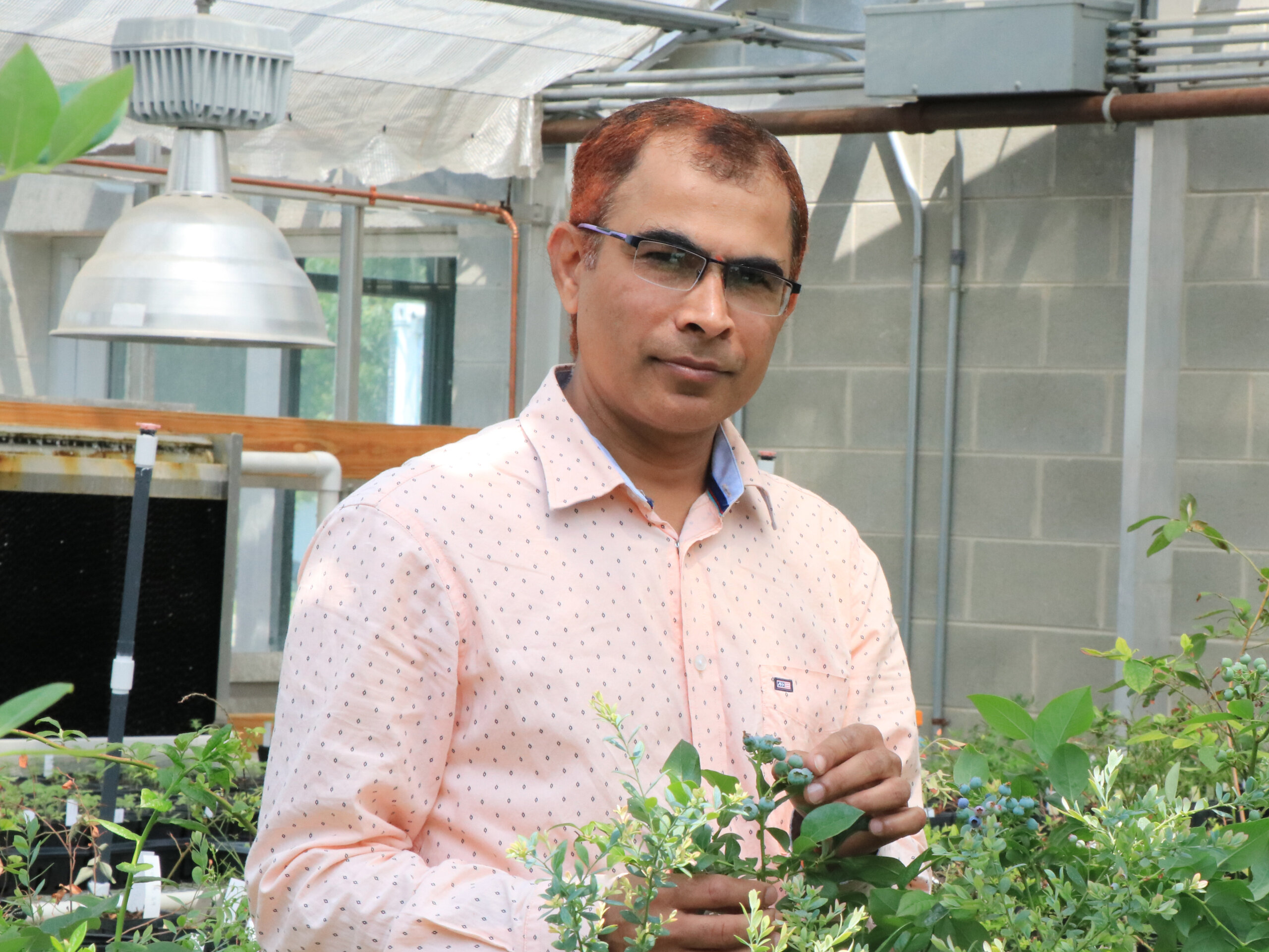 DELAWARE STATE UNIVERSITY POST DOCTORATE RECEIVES USDA GRANT FOR GENETIC BLUEBERRY RESEARCH