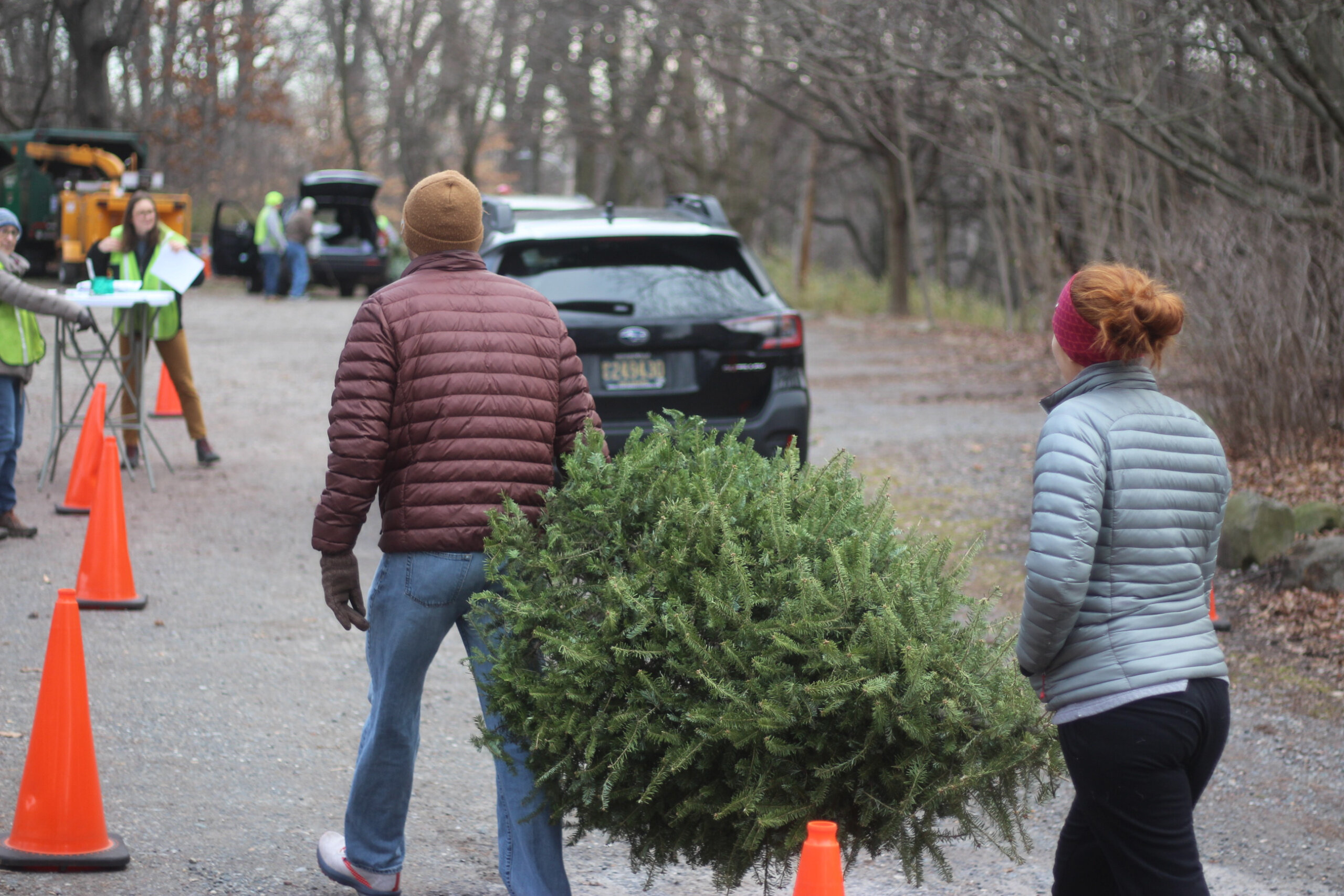 Recycle Your Holiday Tree at Free TreeCycle Event Jan. 6
